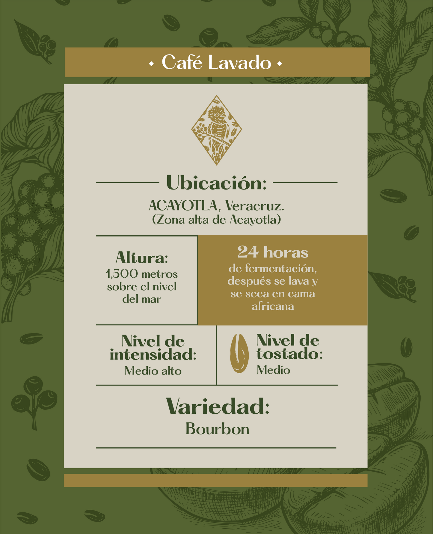 Café Lavado